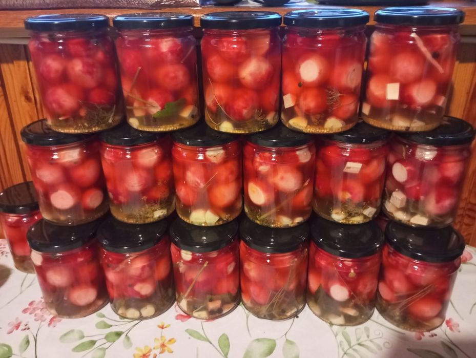 Naturalnie Kiszone rzodkiewki, Domowe Kiszonki 2025