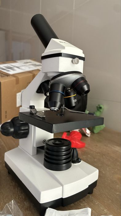 Microscopio bebang