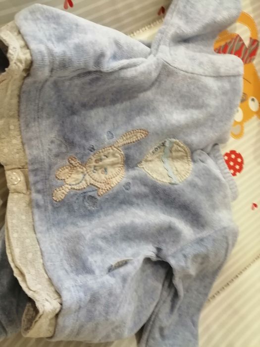 Fatos e macacoes de bebé