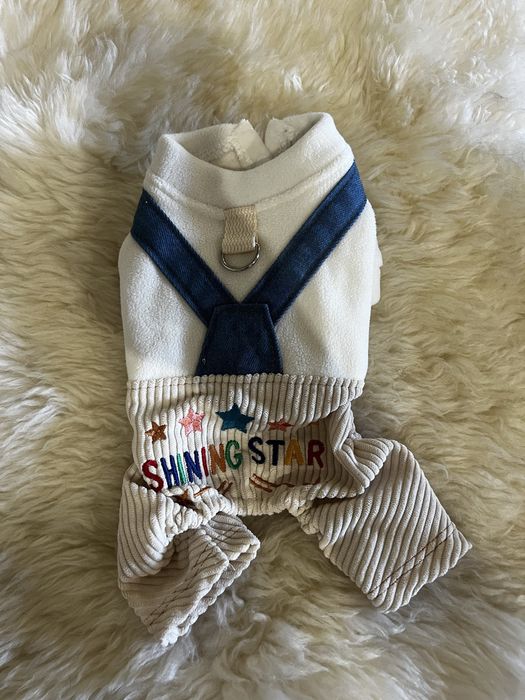 Одяг для маленького песика