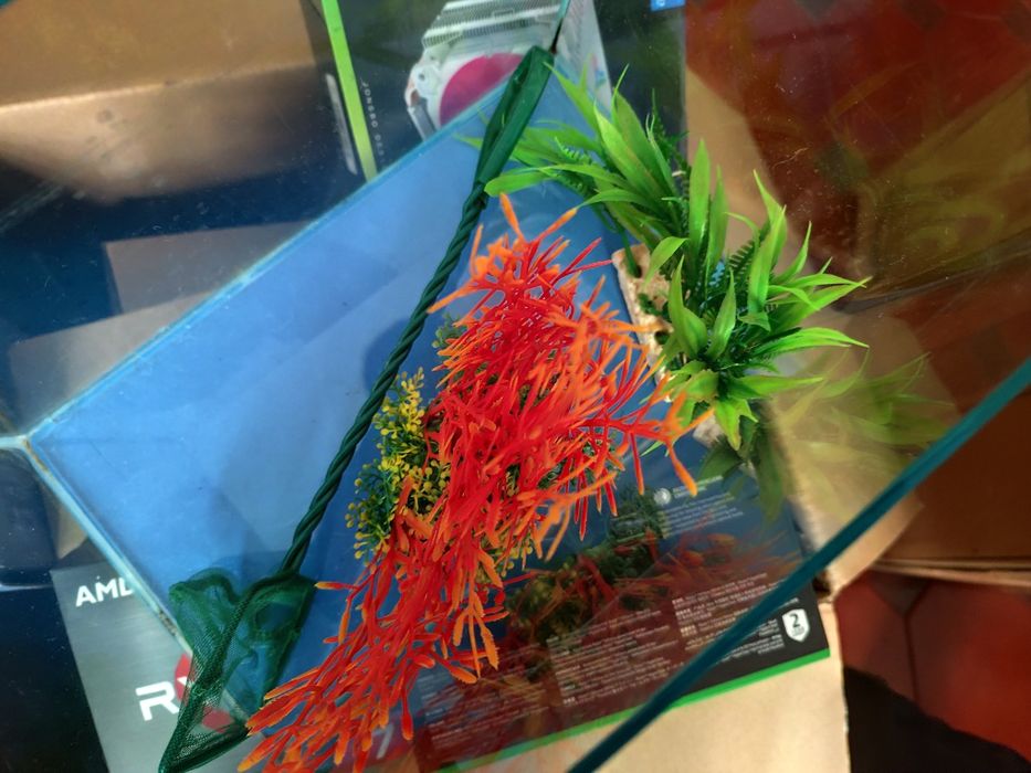 Aquário pequeno como novo