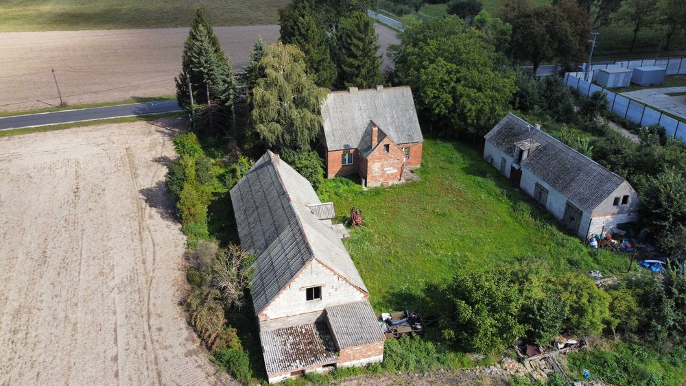Siedlisko 3100 m² | Dom + budynki gospodarcze 250 m² | Łojewo