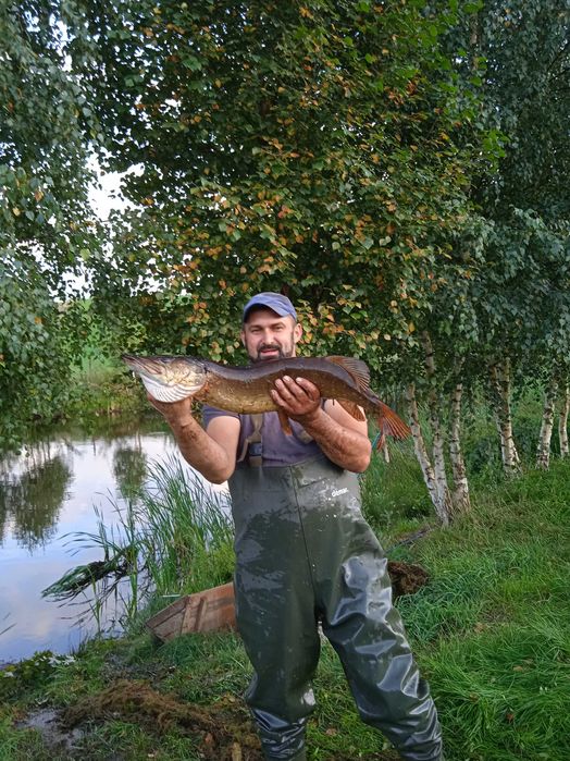 Domek z jacuzzi i sauną