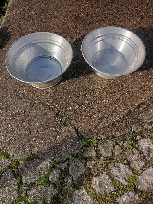 Vendo estas vazias muitas bonitas