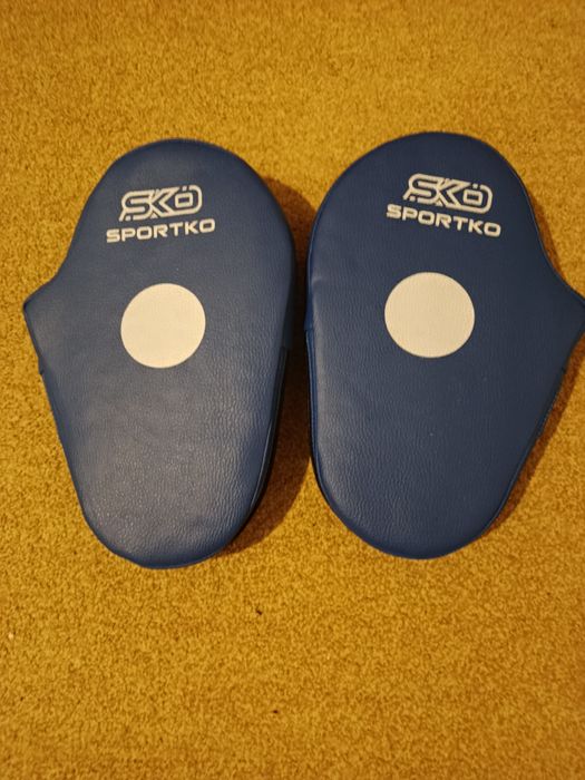 Лапа для бокса, теквандо.