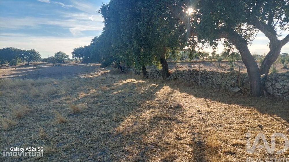 Terreno em Urra de 25000,00 m2