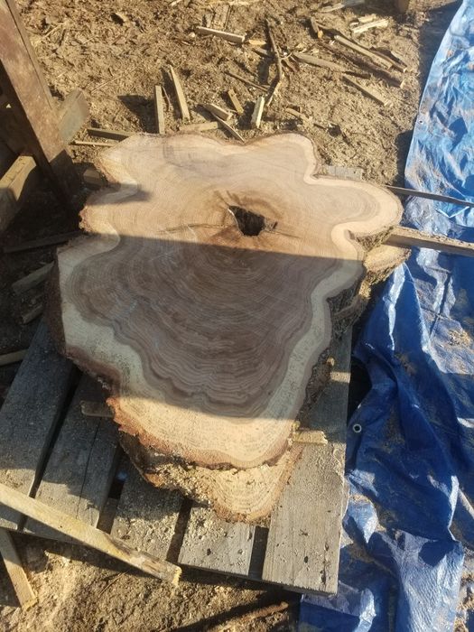 Plastry  debowe  Jesionowe