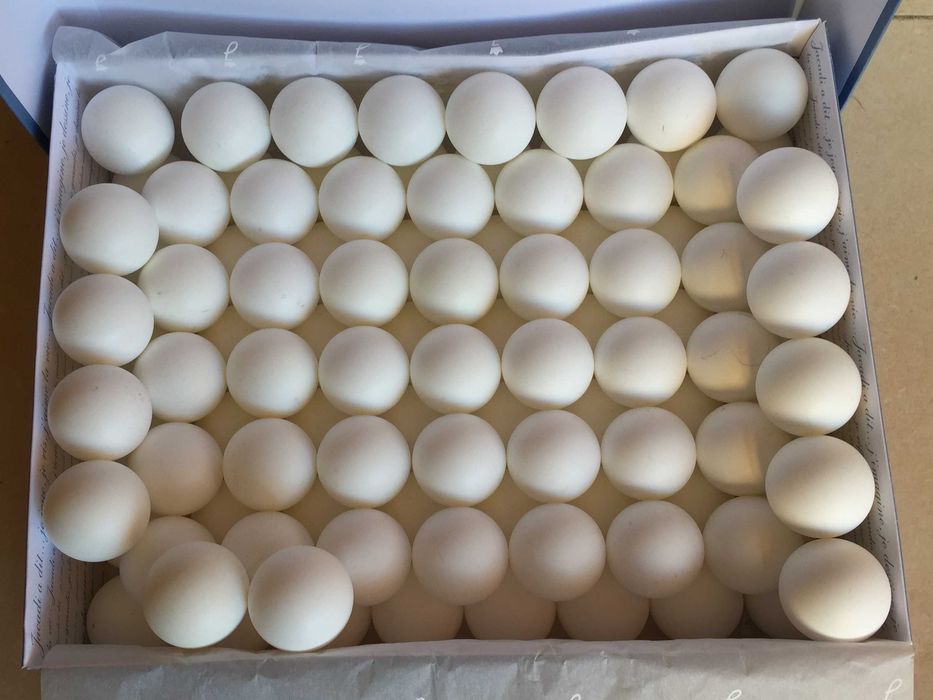 157 bolas (tamanho aprox. ping-pong / ténis de mesa - 3,5cm)