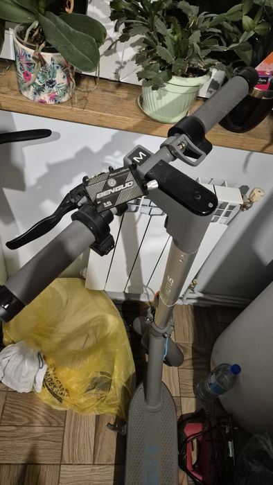 Hulajnoga motus  scotty 10