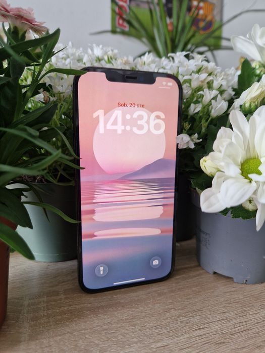 Apple iPhone 12 Pro Max 128GB