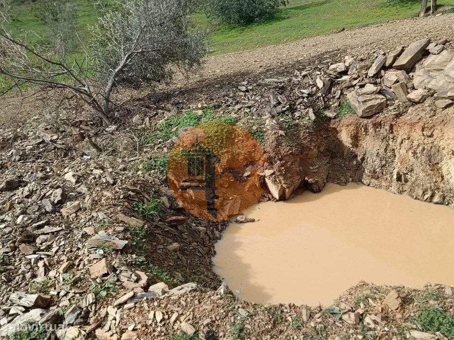 Terreno Rústico Com 2.920 M2 - Electricidade - Com Árvores - Matos ...