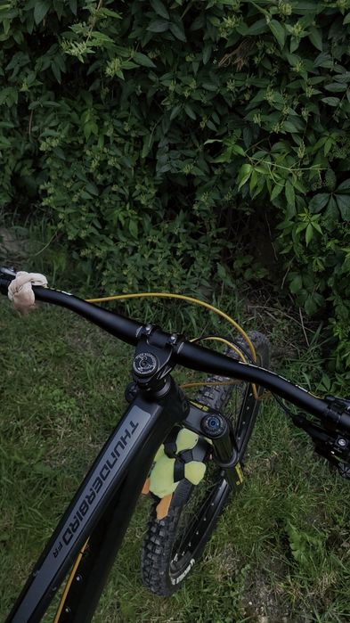 Dartmoor Thunderbird