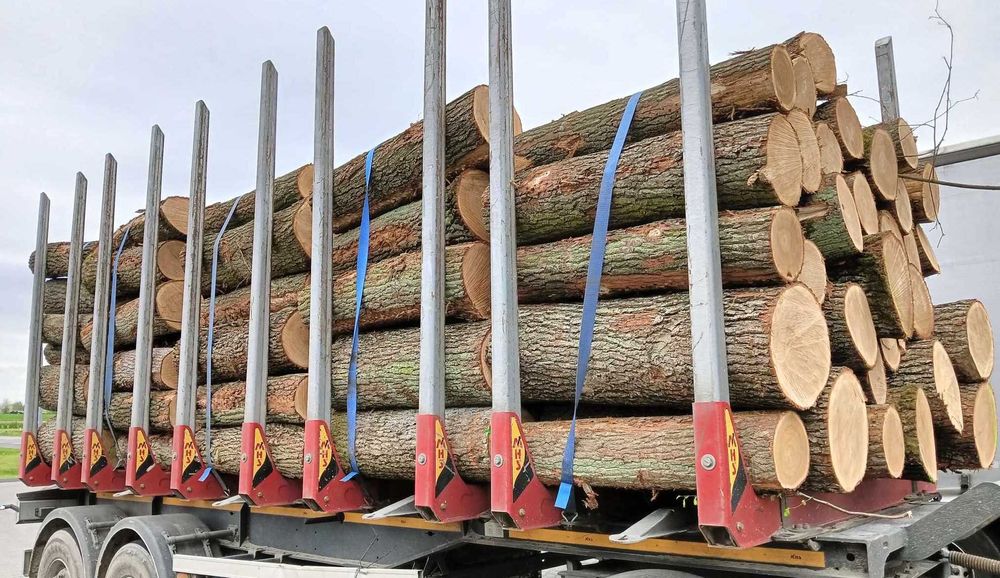 Dąb s2b, S2B, wałek dębowy 1,2m, fryza dębowa, graniak - cała polska