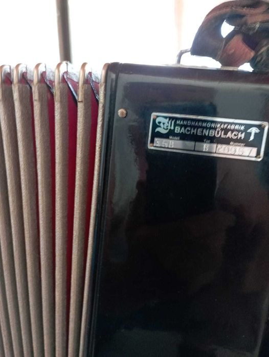 Concertina Bachenbulach Viseu • OLX Portugal