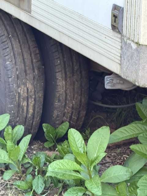 Iveco Daily 35c12