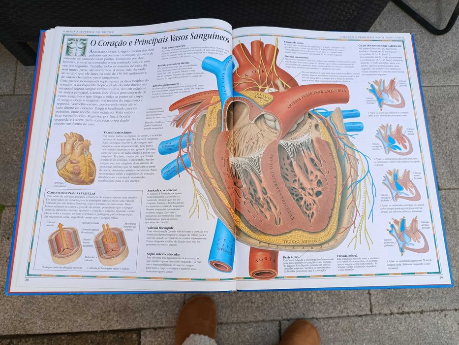 Livro "Atlas do Corpo Humano"