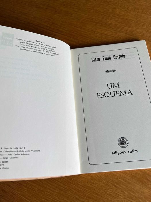 UM ESQUEMA     Clara Pinto Correia