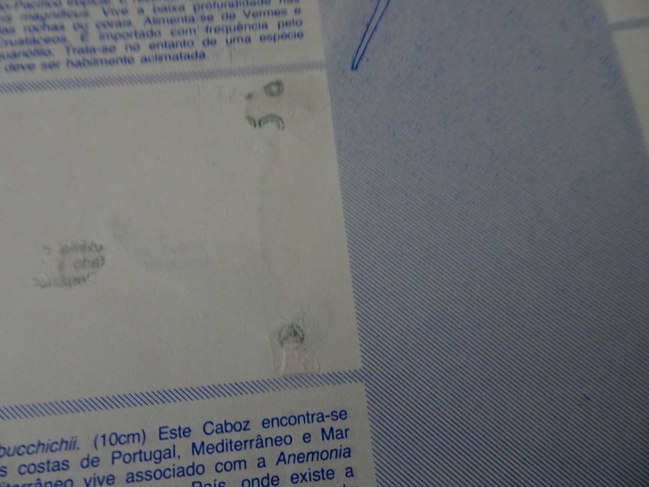 Caderneta de cromos vazia O Maravilhoso Mundo Subaquático