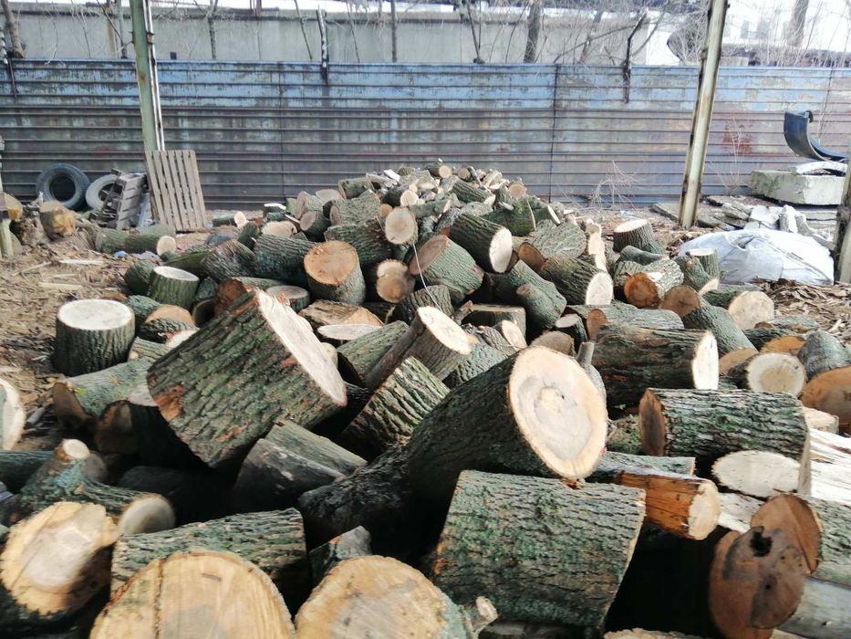 Дуб акация ясень Днепр от 1500м3