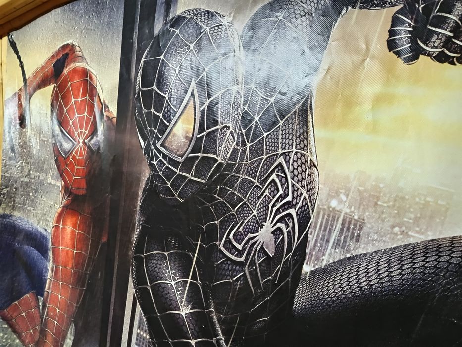 Alugo Lona Spider Man 120x150