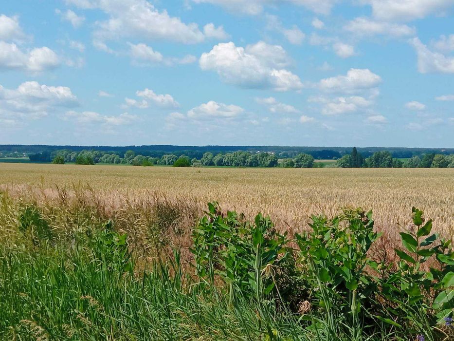 Хата і будинок без внутрішніх робіт с.Гуляй Городок
