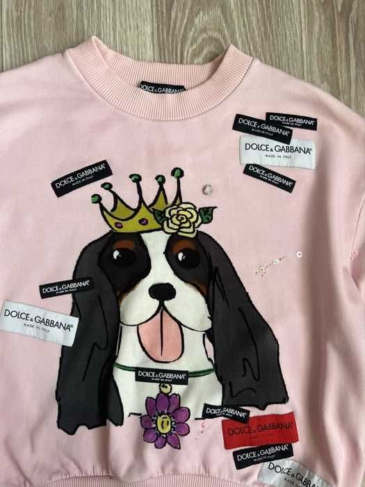 Dog print : світшот  Dolce Gabbana