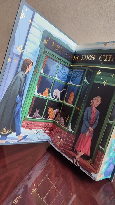 Книжка Agnes Aubert's Mystical Cat Shelter Heather Fawcett, Fairyloot