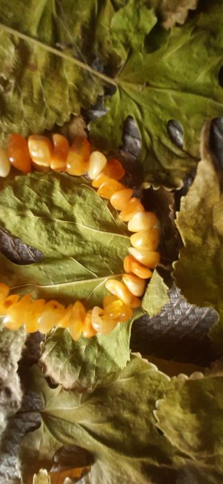 Brazoleta z bursztynu