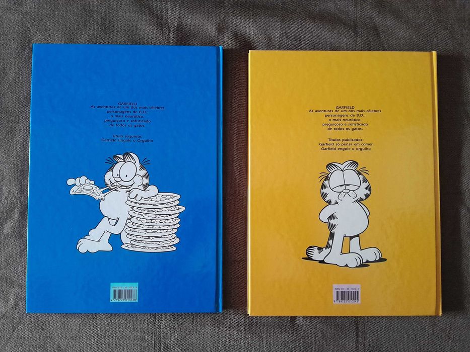 Garfield (Dom Quixote)