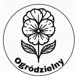 Sadzonka rabarbar i floks 10szt