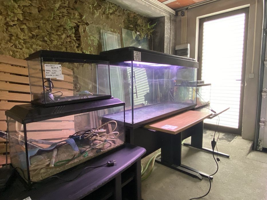 Aquário Grande com Iluminação LED – 1,20m