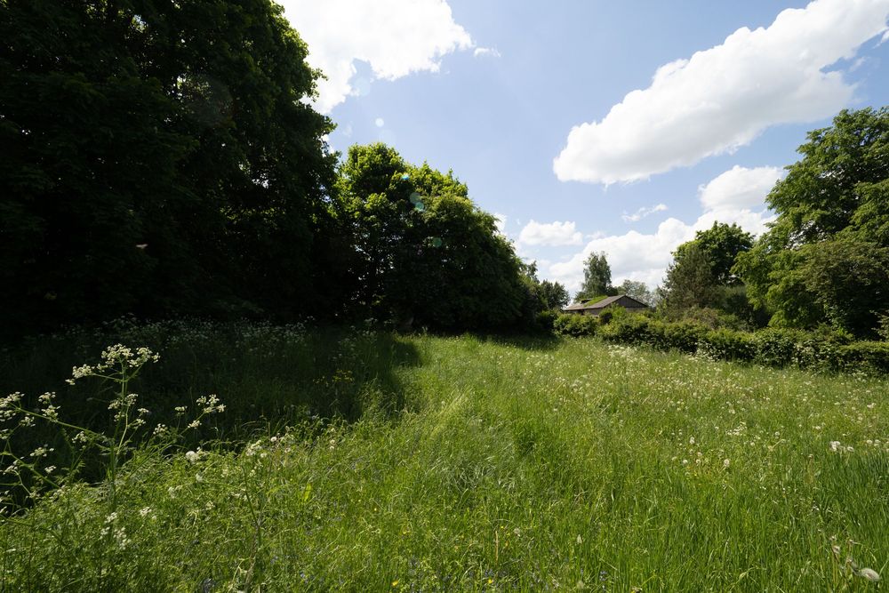 Działka inwestycyjno-budowlana 5129 m² z linią brzegową Rospudy i wydanymi WZ – Bakałarzewo (możliwość podziału na 3 oddzielne) - Widok 3