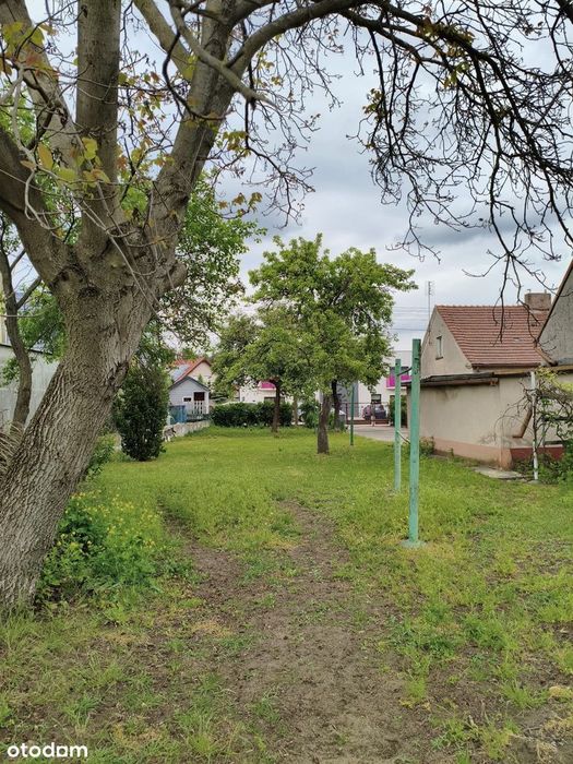 Działka z Duszą i Widokiem na Brzozowy Gaj – Leszno
