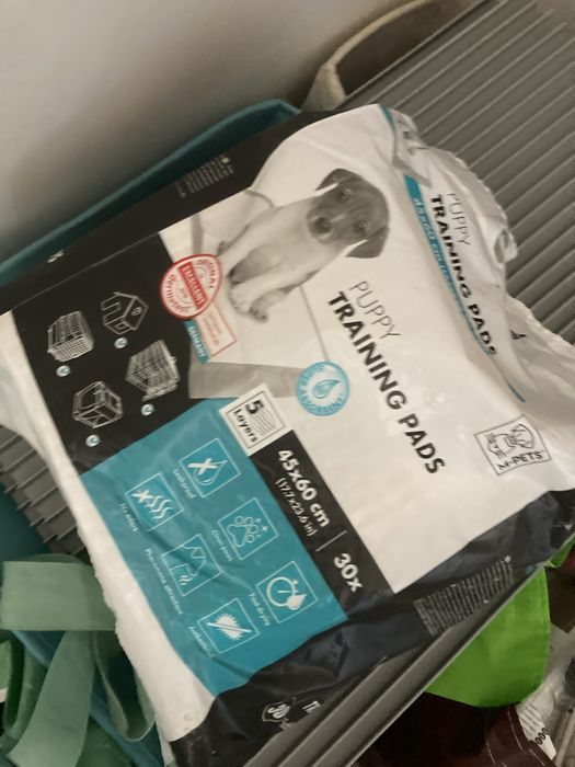 Tabuleiro higiénico para cão