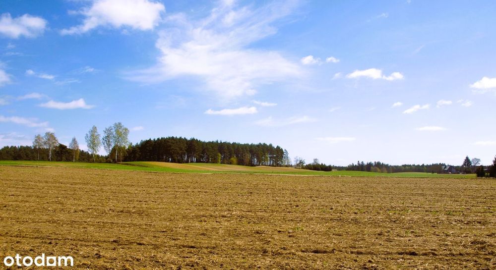 Piękna działka 1150m2 na Kaszubach - Lipy, gm. Stara Kiszewa