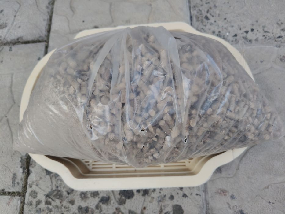 Лоток для кота+наполнитель