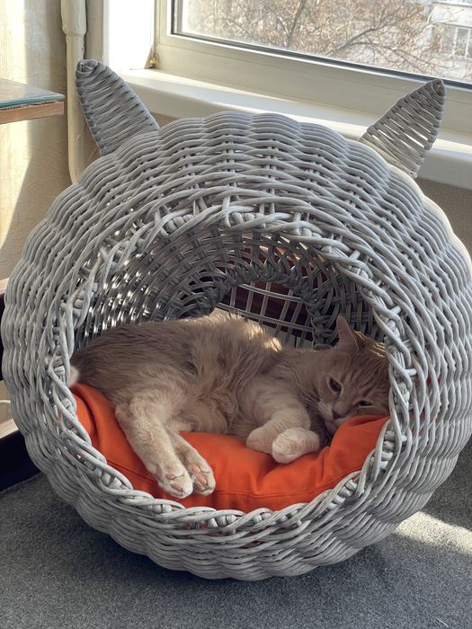 Котобудинок з ротангу. Лежанка. Будинок для кота