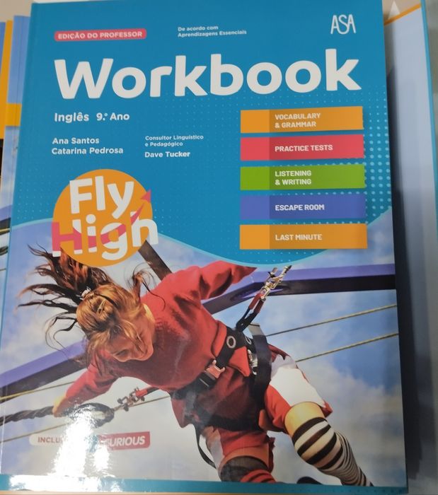 Dossiês do professor do 9° ano com manual do professor e caderno de atividades ano de inglês