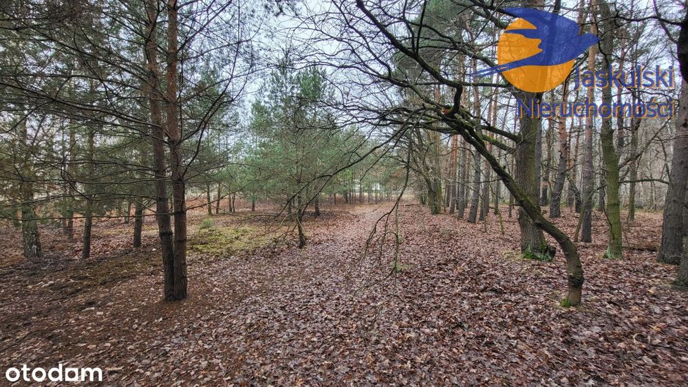 Działka na sprzedaż, 1439 m²