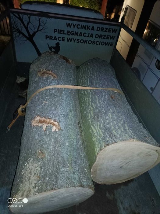 Pielęgnacja drzew, wycinka drzew, przycinanie drzew, rębak