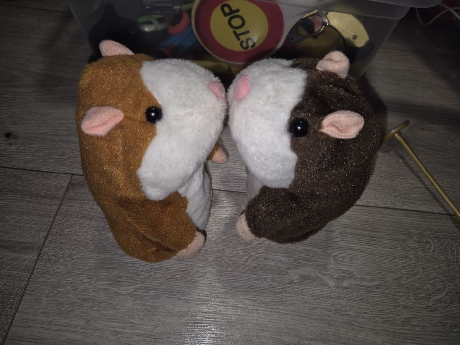 Dwa powtarzające chomiki