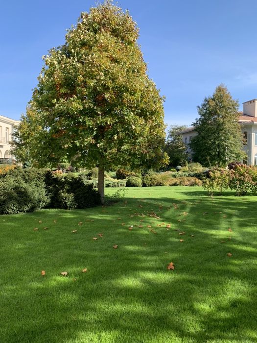 Дом по адресу ул. Спортивная (площадь 850 м²) - Atlanta.ua - фото 2