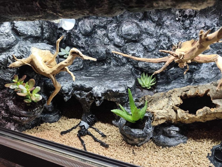 Terrarium stepowe - 100x40x40