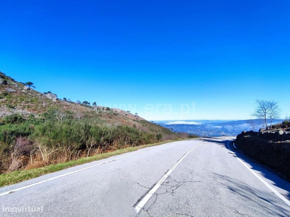 Terreno Rústico / Cinfães, São Cristóvão de Nogueira — São Cristóvão de Nogueira, Viseu