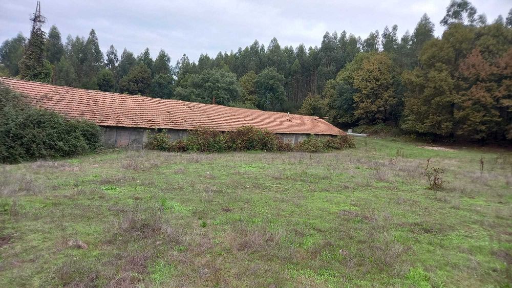 Terreno com 2 aviários