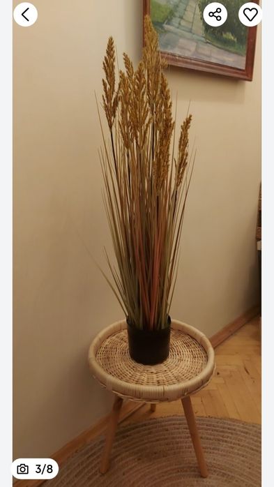 Трава пампасна очерет 100 см