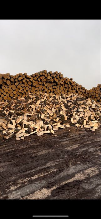 Drewno kominkowe i opałowe, opał