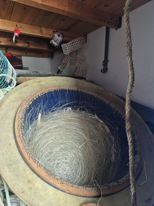 Conteúdo de armazém de pesca em Sesimbra