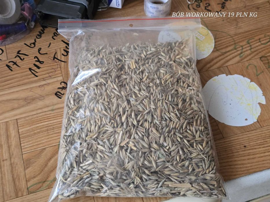 LUCERNA sorgo BÓB bobik łubin peluszka groch koniczyna rzodkiew płużna