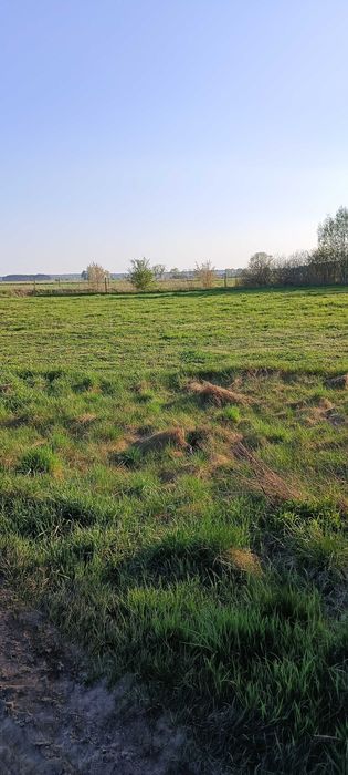 Dzialka budowlana Krosinko - Widok 4